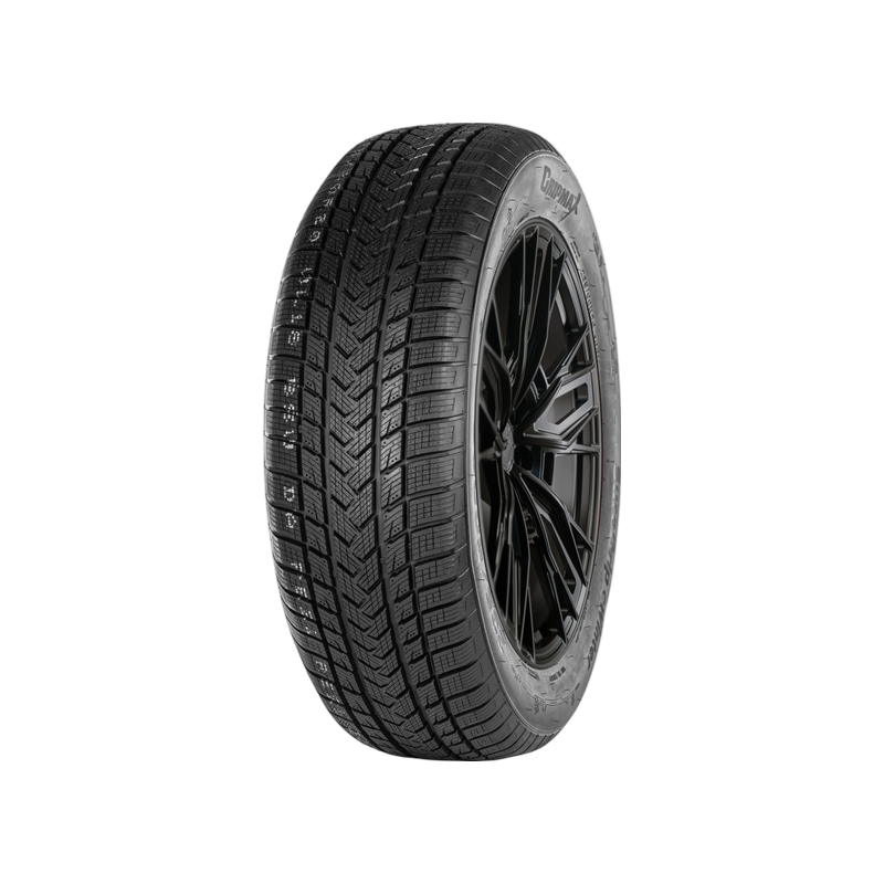 205/60 R 17   97V XL   GRIPMAX   SureGrip eWinter