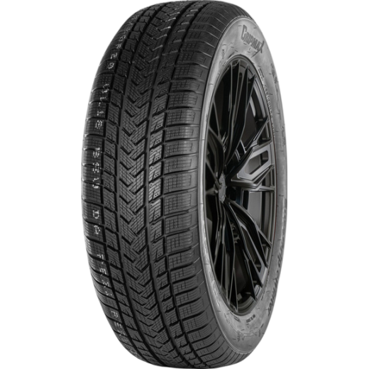 205/60 R 17   97V XL   GRIPMAX   SureGrip eWinter