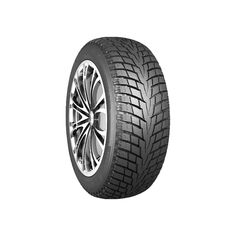 195/65 R 15   95Q   NANKANG   ICE-1 XL