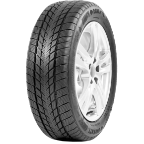 215/65 R 16   98H   DAVANTI   Wintoura