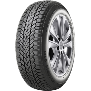 205/55 R 16   91H   GITI   GITIWINTER W1