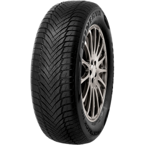 205/55 R 16   91V   MINERVA   FROSTRACK HP